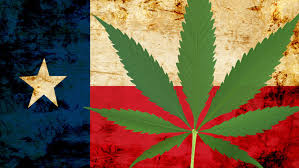 Texas Hemp Laws explained by a Texas Cannabis Lawyer